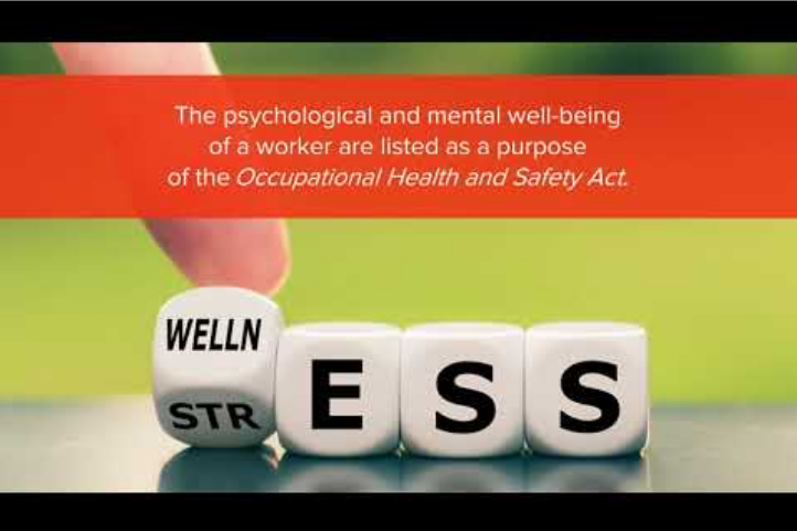 Wellness v Stress Letter Cubes