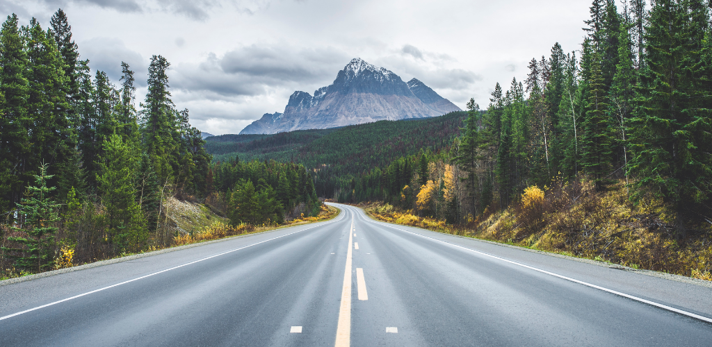 Highway surrounded by forest and facing a mountain